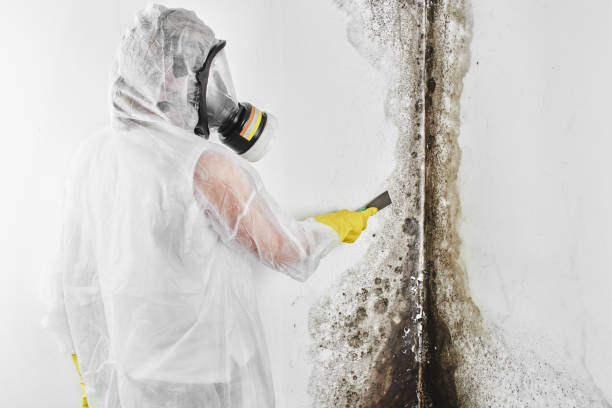 Water Damage Restoration in Longbranch, WA