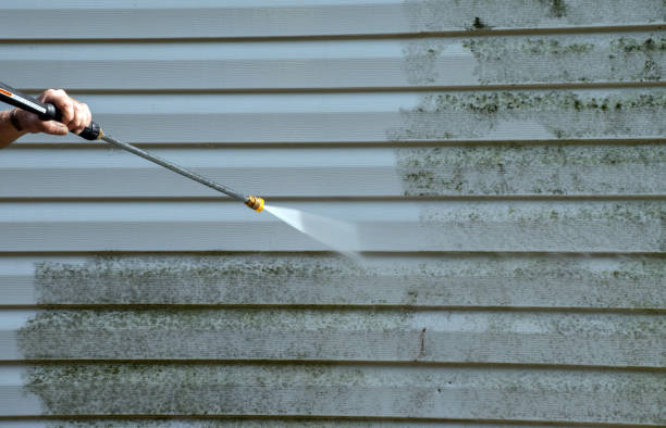 Best Water Damage Restoration  in Longbranch, WA