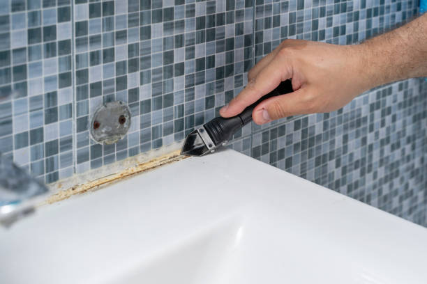 Longbranch, WA Mold Removal Company