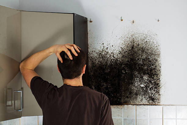 Best Emergency Mold Removal  in Longbranch, WA